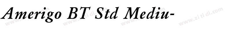Amerigo BT Std Mediu字体转换